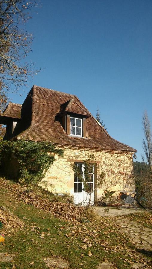 Petite Maison En Perigord Noir Plazac Dış mekan fotoğraf